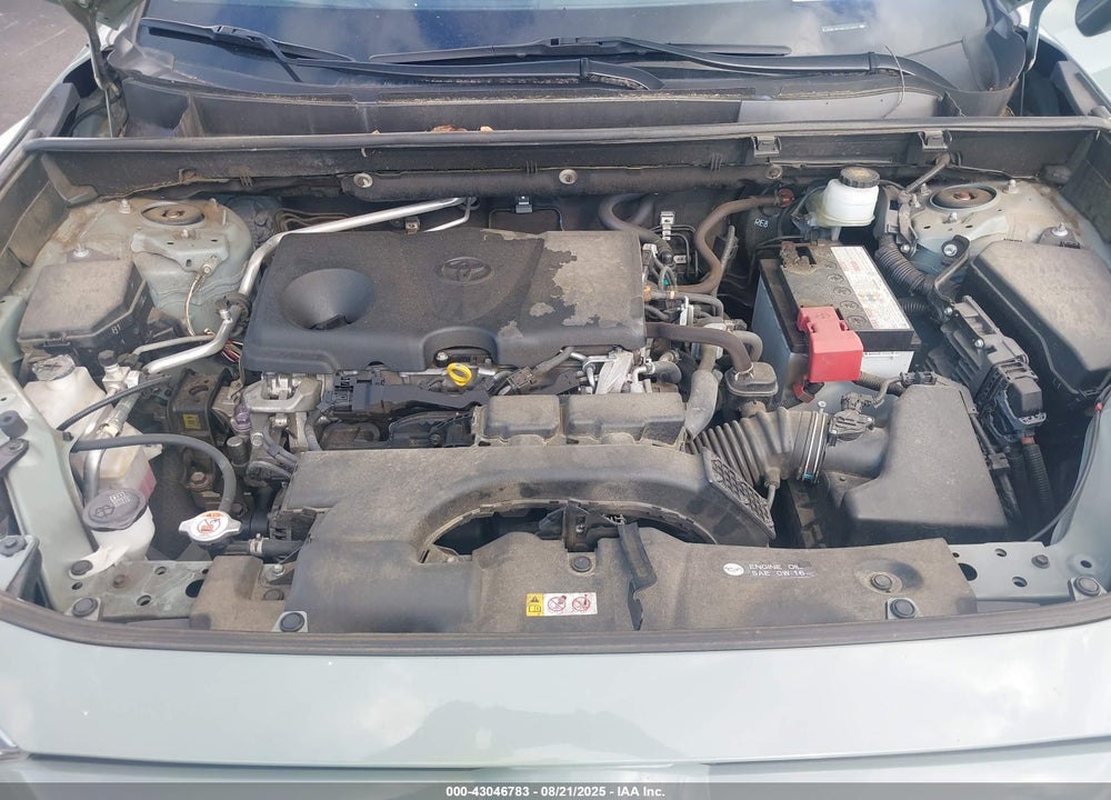 2019 TOYOTA RAV4 VIN: JTMW1RFV6KJ013251