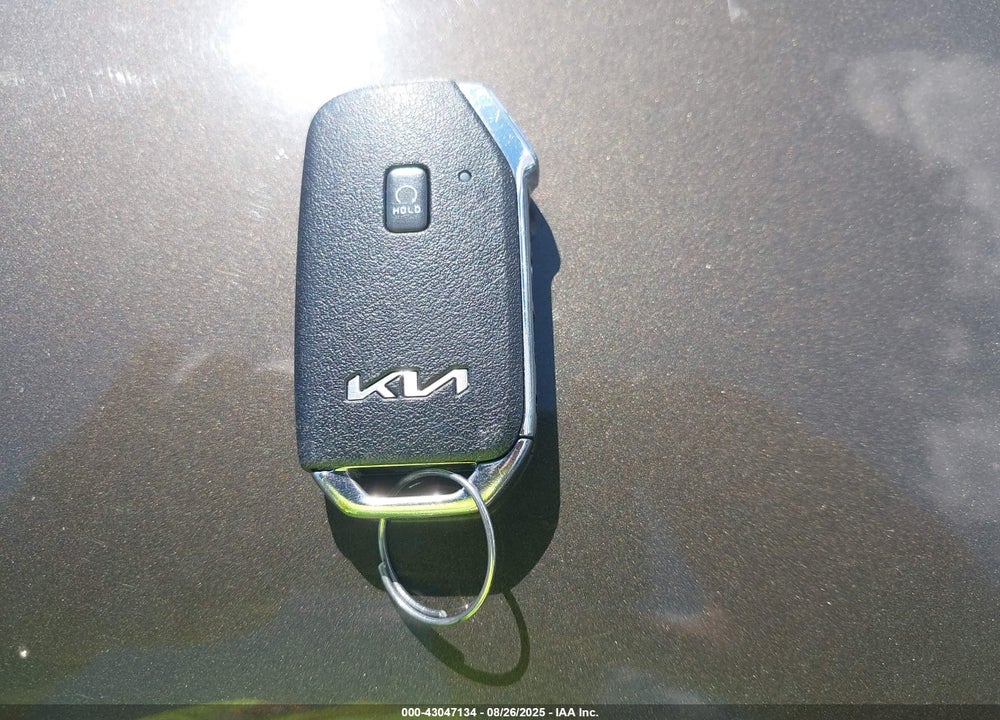 2022 KIA TELLURIDE VIN: 5XYP5DHC3NG276275