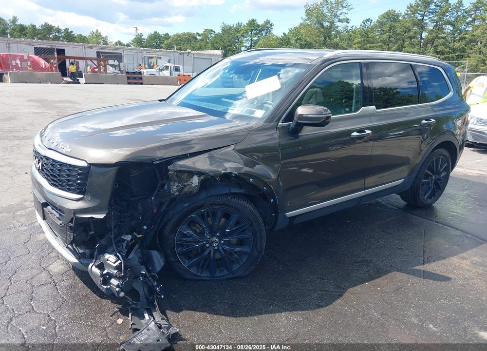 2022 KIA TELLURIDE VIN: 5XYP5DHC3NG276275
