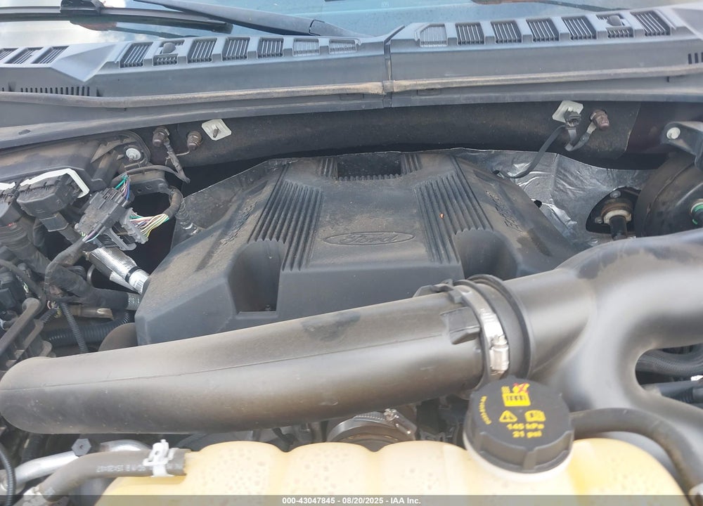 2019 FORD F-150 VIN: 1FTEW1E43KFA35346