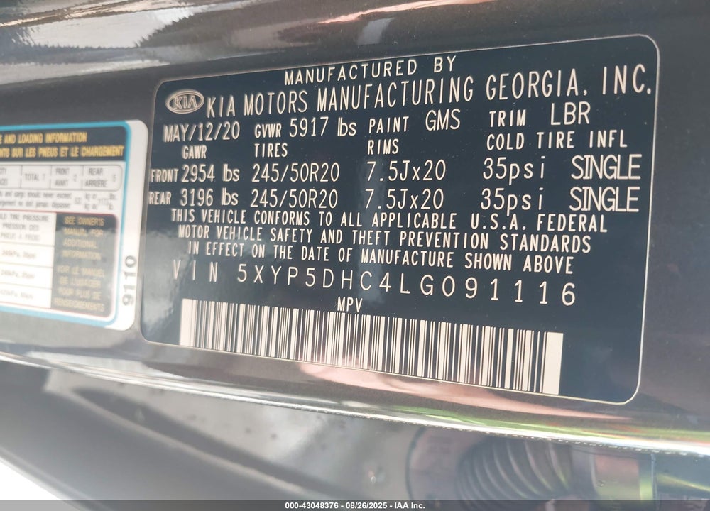2020 KIA TELLURIDE VIN: 5XYP5DHC4LG091116