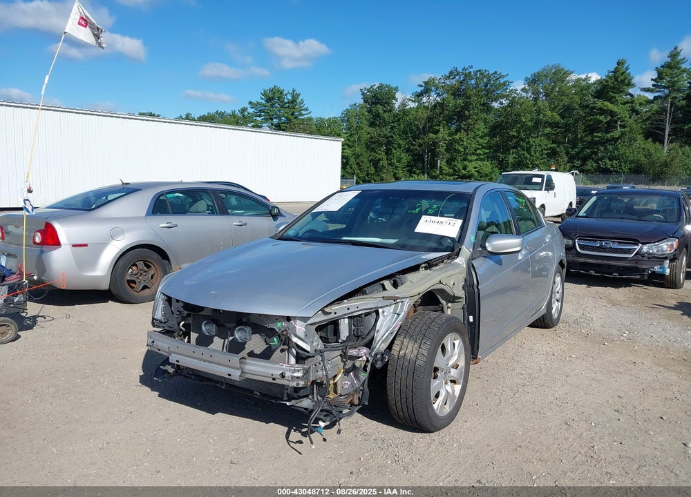 2010 HONDA ACCORD VIN: 1HGCP2F85AA006309