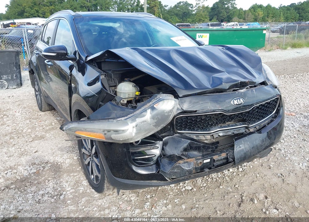 2017 KIA SPORTAGE VIN: KNDPNCAC2H7056356