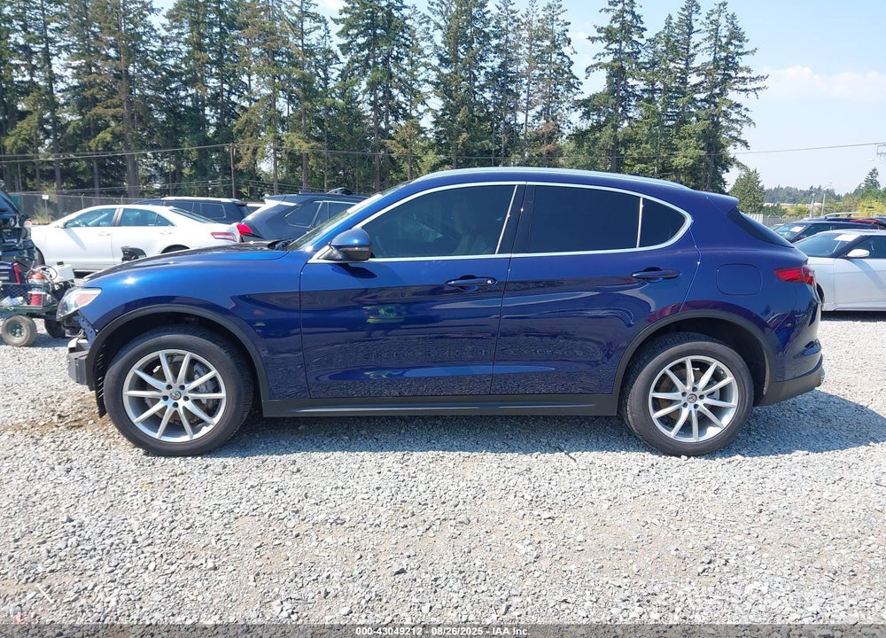 2019 ALFA ROMEO STELVIO VIN: ZASPAKBN2K7C45206