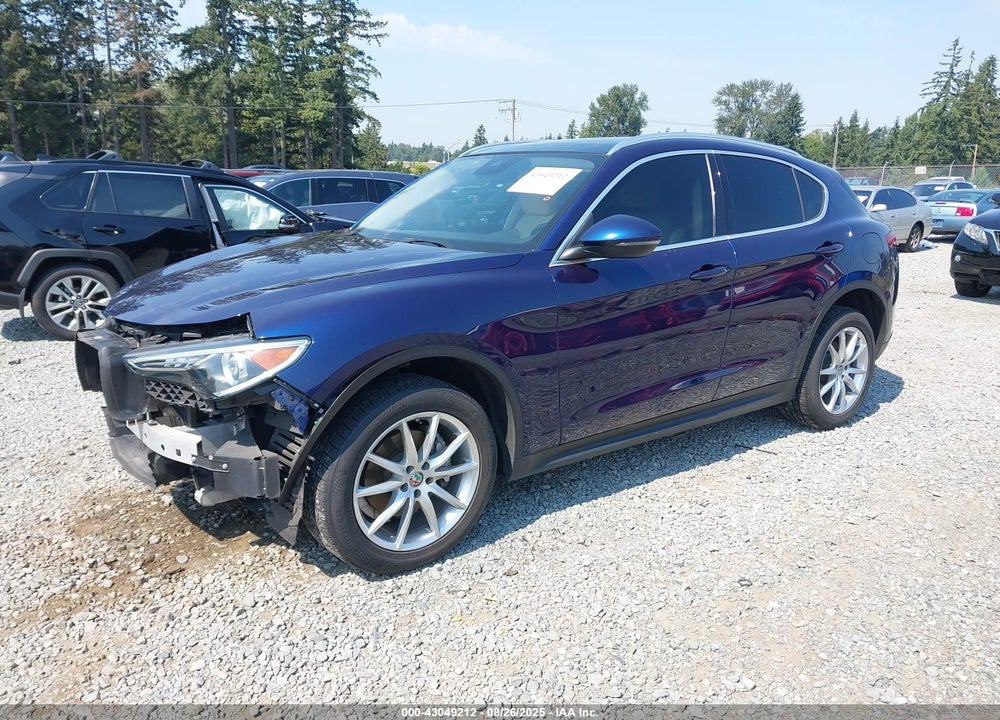 2019 ALFA ROMEO STELVIO VIN: ZASPAKBN2K7C45206