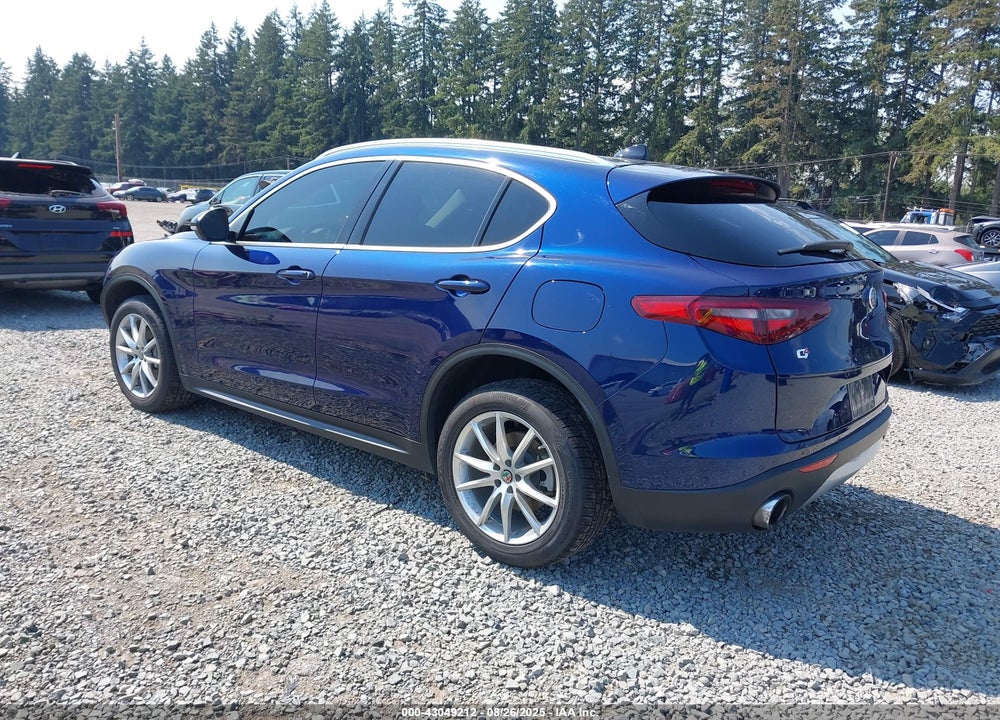 2019 ALFA ROMEO STELVIO VIN: ZASPAKBN2K7C45206