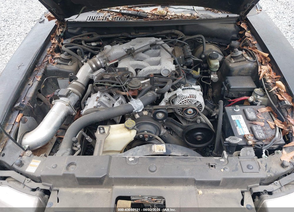 2000 FORD MUSTANG VIN: 1FAFP4044YF177018
