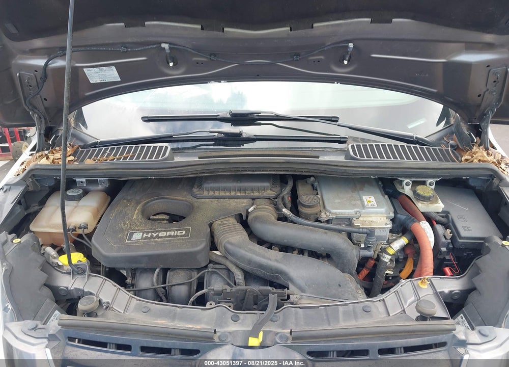2013 FORD C-MAX HYBRID SEL VIN: 1FADP5BU9DL545960