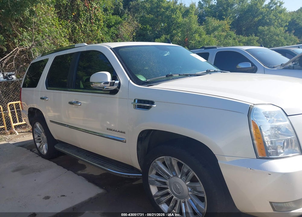 2011 CADILLAC ESCALADE STANDARD VIN: 1GYS4AEF8BR252832