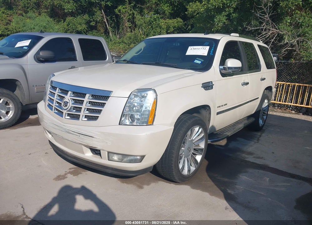 2011 CADILLAC ESCALADE STANDARD VIN: 1GYS4AEF8BR252832
