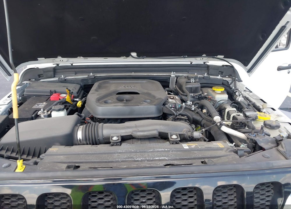 2021 JEEP WRANGLER / VIN: 1C4GJXAN4MW804495
