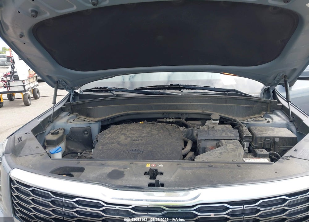2020 KIA TELLURIDE VIN: 5XYP64HCXLG016630
