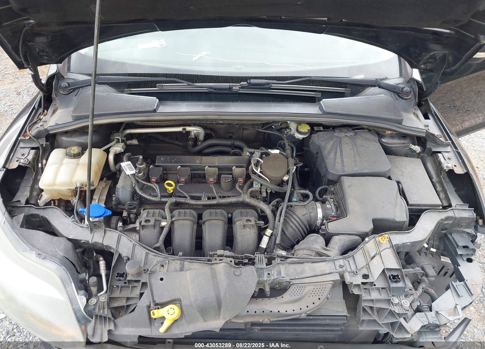 2014 FORD FOCUS VIN: 1FADP3N23EL417603