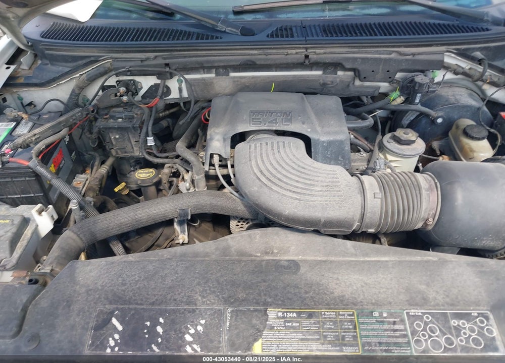 2002 FORD F-150 LARIAT/XL/XLT VIN: 1FTRX17L62NA66289