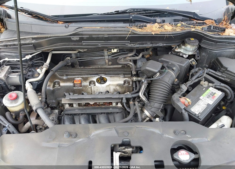 2010 HONDA CR-V VIN: 5J6RE4H32AL040556