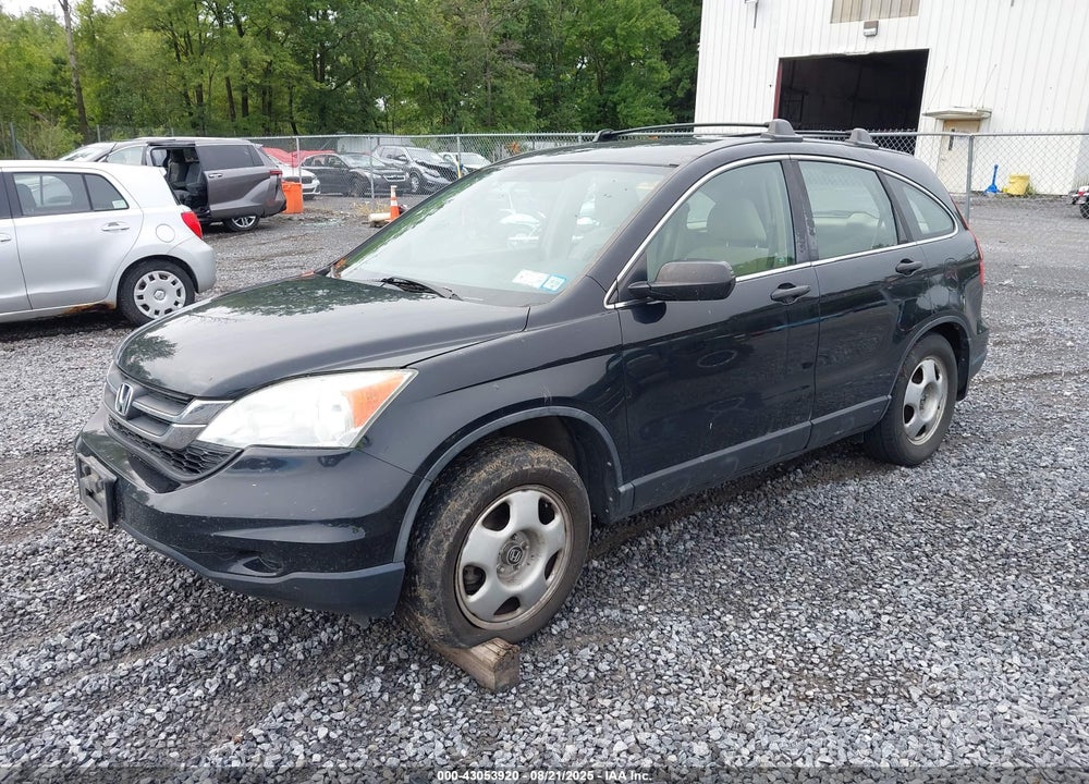 2010 HONDA CR-V VIN: 5J6RE4H32AL040556