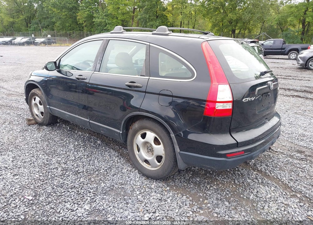 2010 HONDA CR-V VIN: 5J6RE4H32AL040556