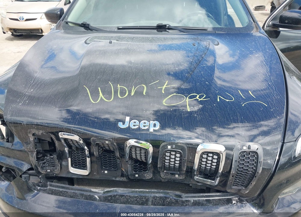 2017 JEEP CHEROKEE VIN: 1C4PJLDS4HW667297