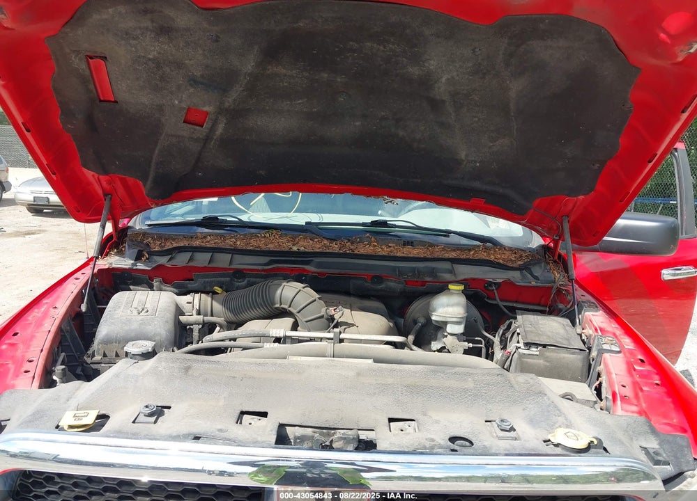 2009 DODGE RAM 1500 VIN: 1D3HV13T29J505200