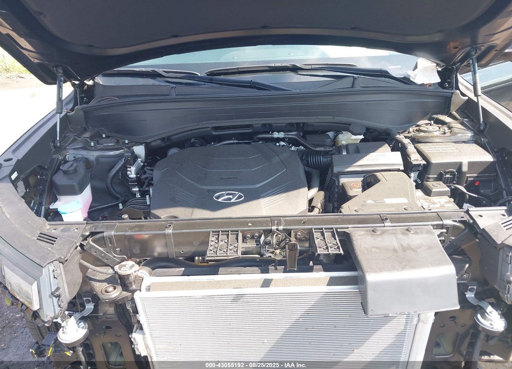 2025 HYUNDAI PALISADE VIN: KM8R34GE1SU917947