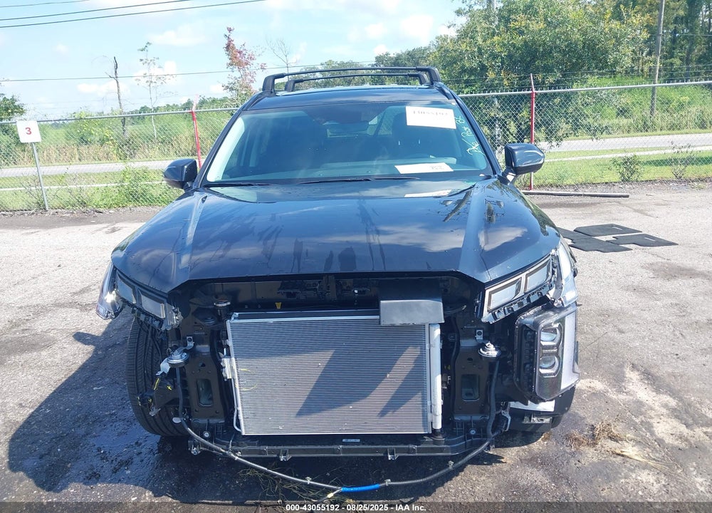 2025 HYUNDAI PALISADE VIN: KM8R34GE1SU917947