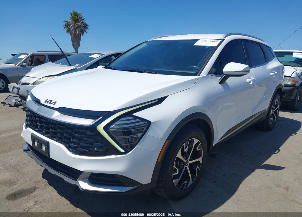 2024 KIA SPORTAGE VIN: 5XYK3CDF8RG183316