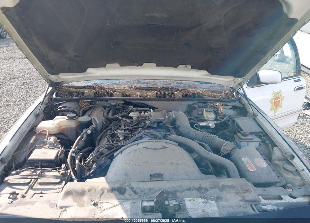 1997 FORD CROWN VICTORIA LX VIN: 2FALP74W6VX222041
