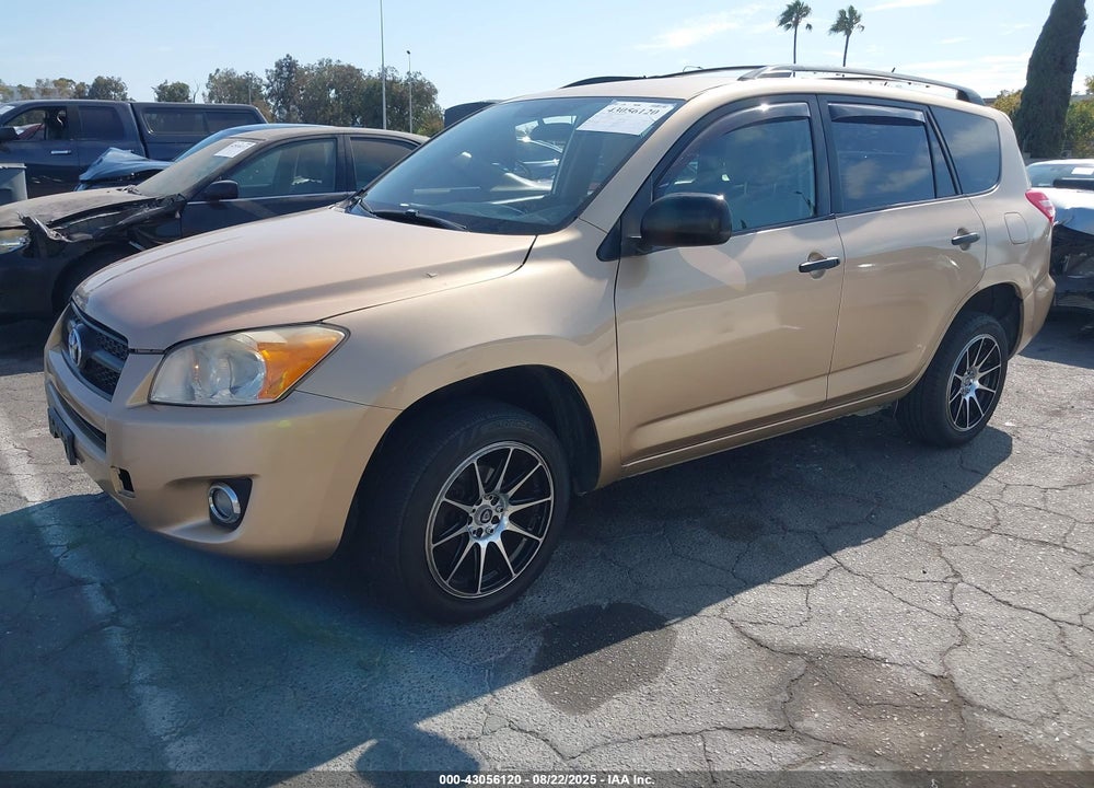 2010 TOYOTA RAV4 VIN: JTMZF4DV0AD019774