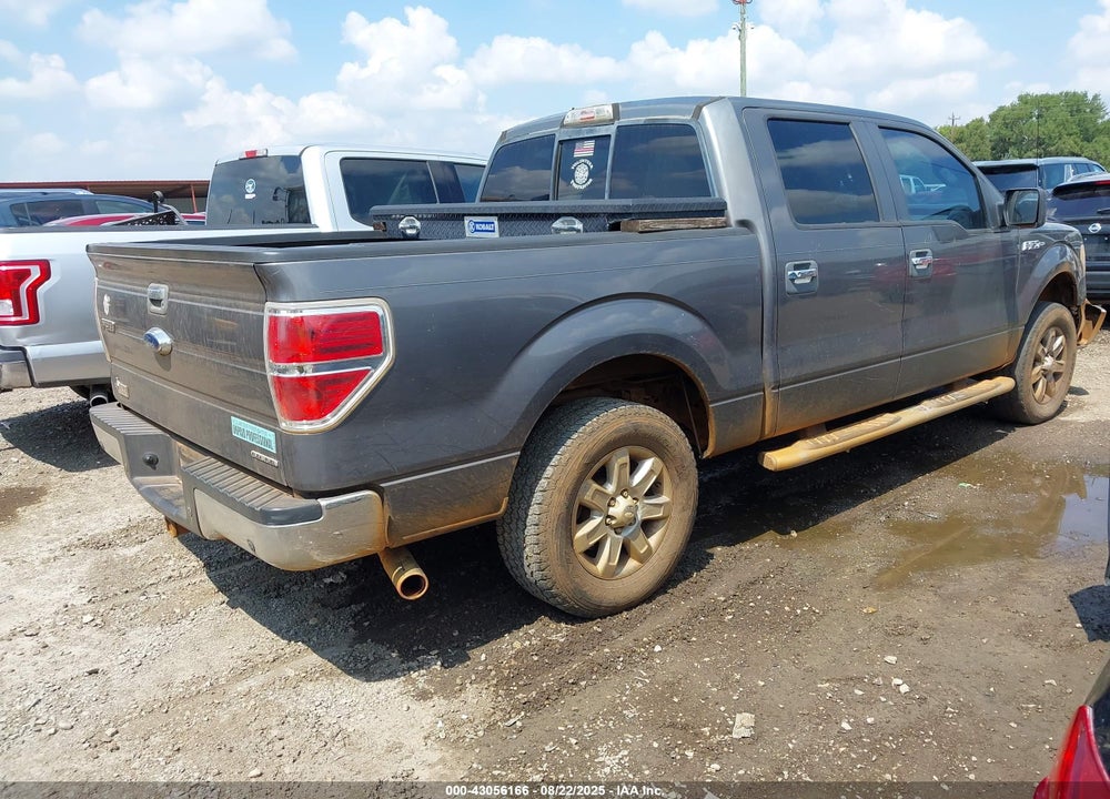 2013 FORD F-150 VIN: 1FTFW1CF4DKD80663