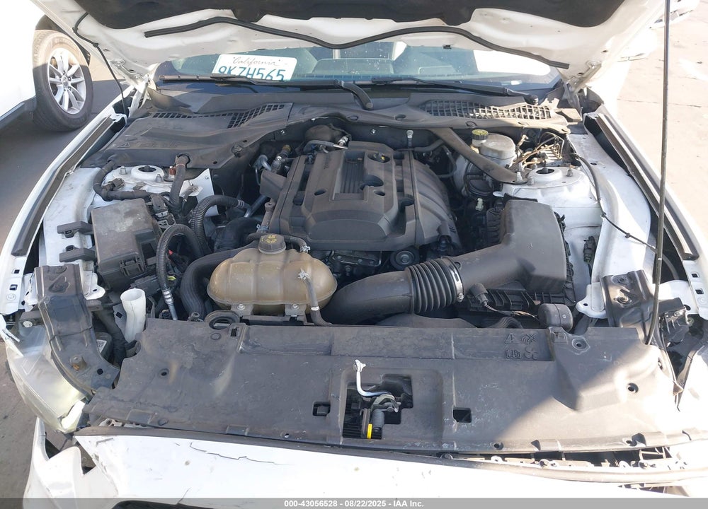 2019 FORD MUSTANG VIN: 1FATP8UH9K5150286