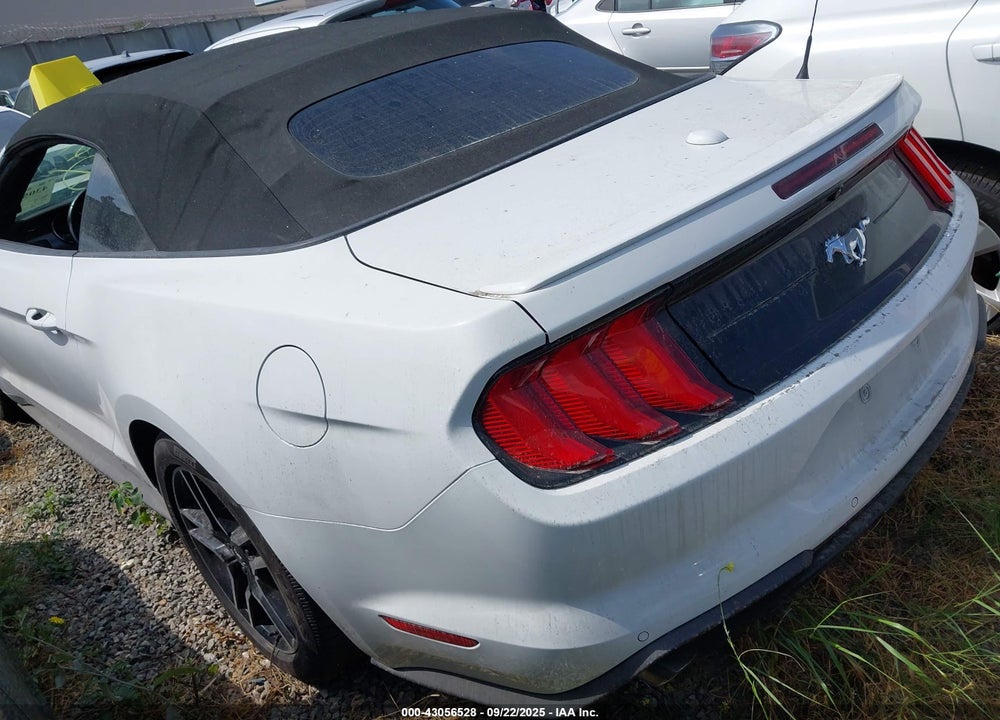 2019 FORD MUSTANG VIN: 1FATP8UH9K5150286
