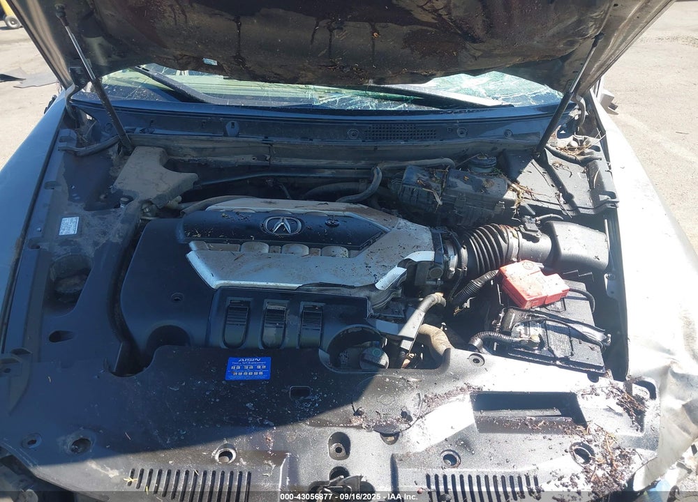 2009 ACURA RL VIN: JH4KB26619C001159