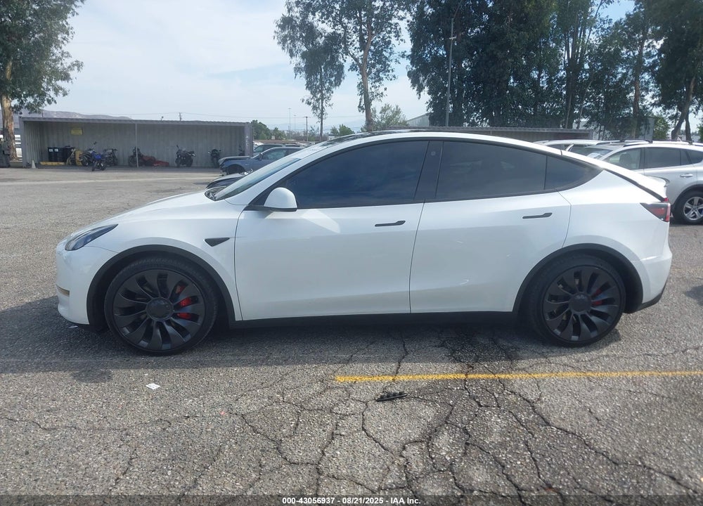 2023 TESLA MODEL Y VIN: 7SAYGDEF4PF753774