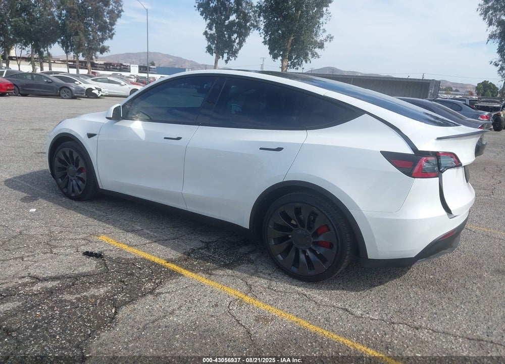 2023 TESLA MODEL Y VIN: 7SAYGDEF4PF753774
