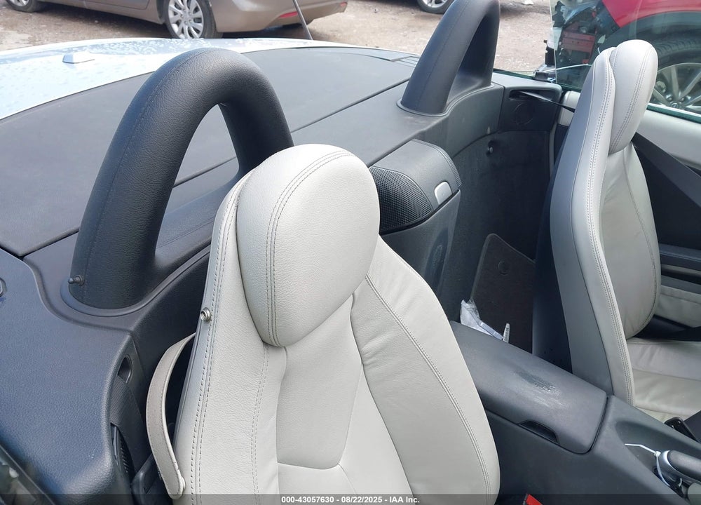 2009 MERCEDES-BENZ SLK-CLASS VIN: WDBWK54F09F191895