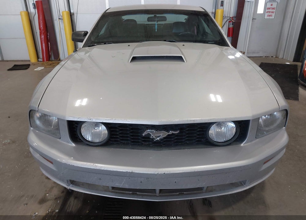 2007 FORD MUSTANG GT DELUXE/GT PREMIUM VIN: 1ZVHT82H375202613
