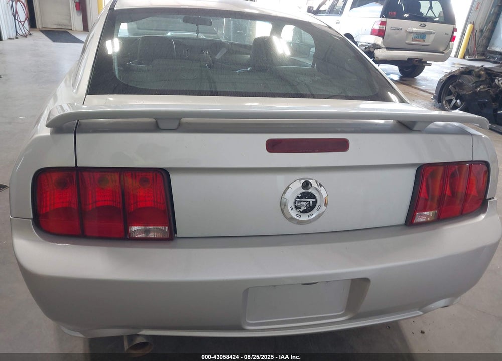 2007 FORD MUSTANG GT DELUXE/GT PREMIUM VIN: 1ZVHT82H375202613
