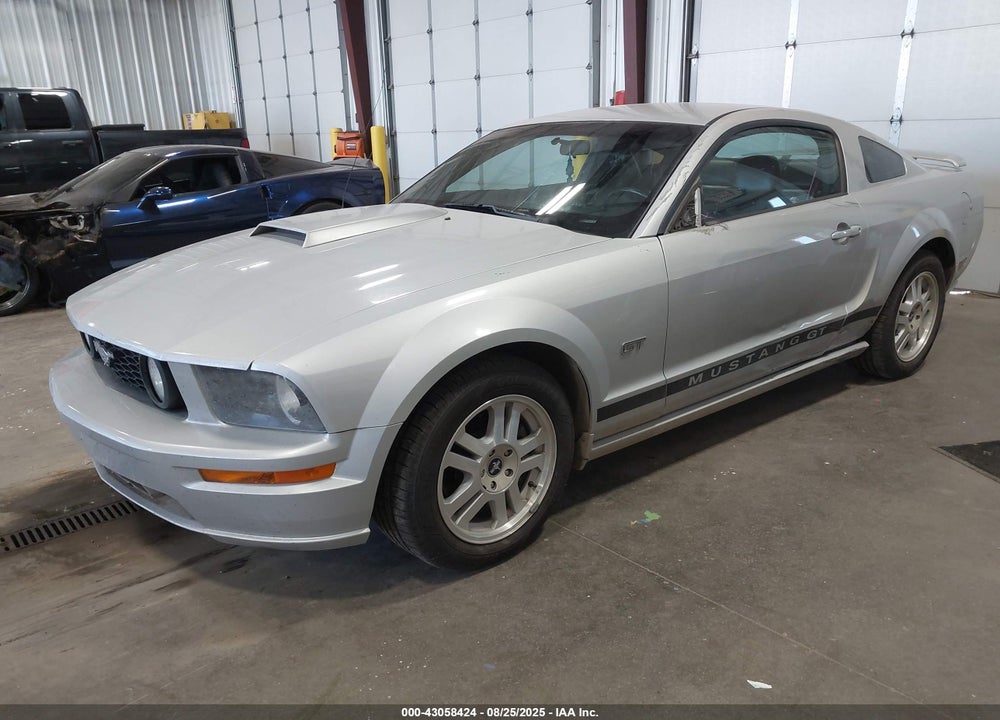 2007 FORD MUSTANG GT DELUXE/GT PREMIUM VIN: 1ZVHT82H375202613