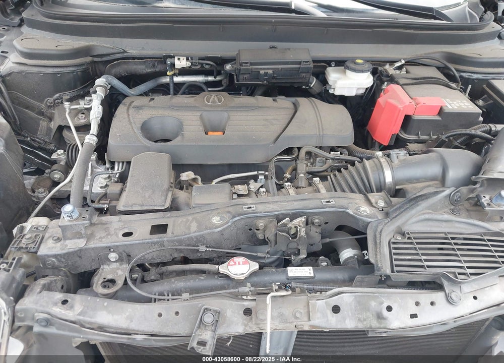 2019 ACURA RDX TECHNOLOGY PACKAGE VIN: 5J8TC1H53KL025519