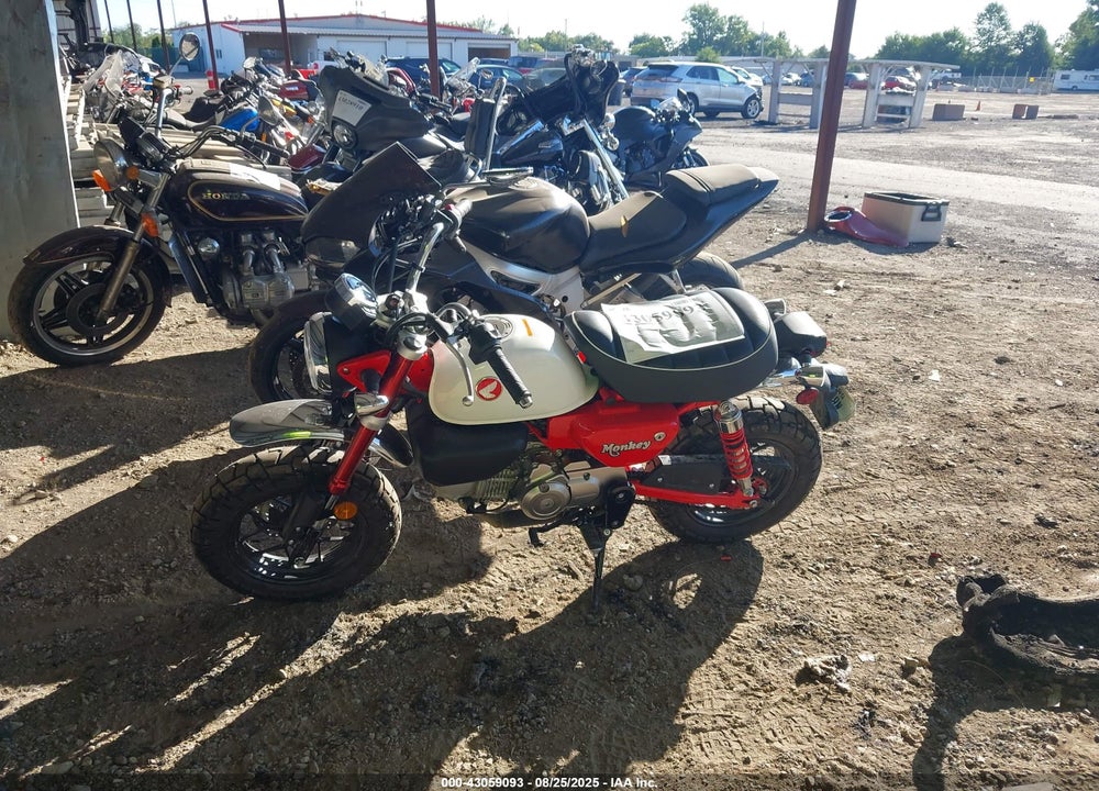 2025 HONDA Z125 MA VIN: MLHJB0559S5001203