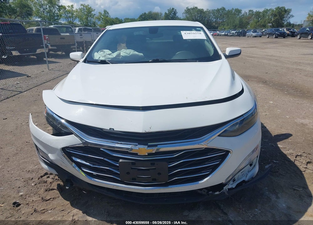 2019 CHEVROLET MALIBU VIN: 1G1ZD5ST4KF171567