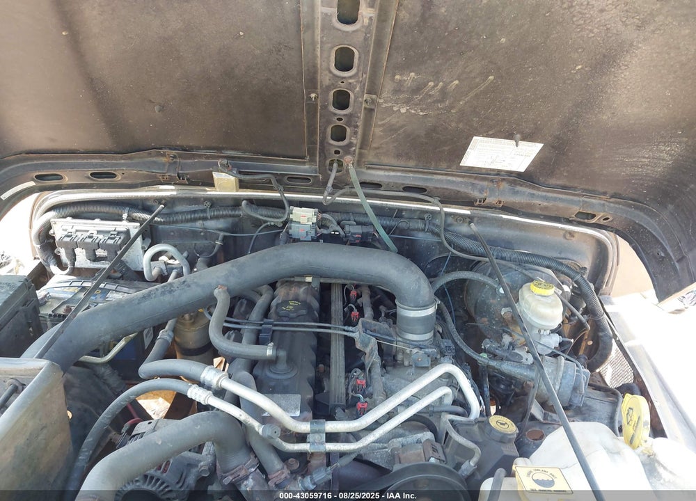 2004 JEEP WRANGLER RUBICON VIN: 1J4FA69S14P800666