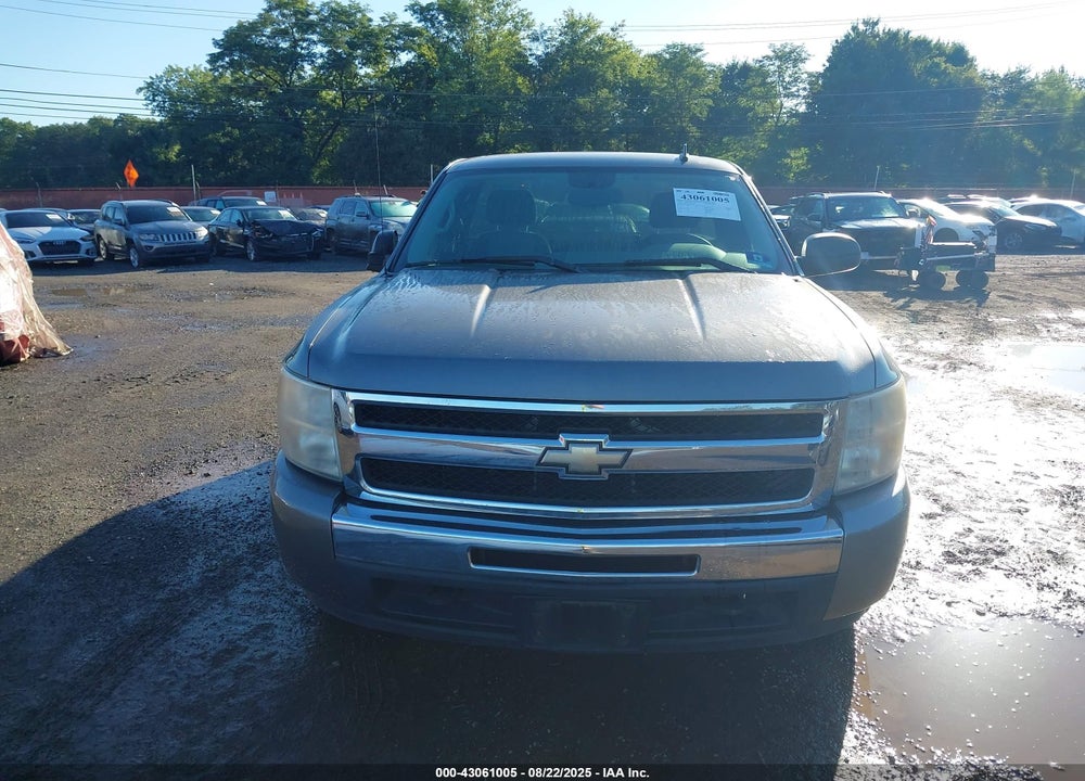 2009 CHEVROLET SILVERADO 1500 VIN: 1GCEK14019Z205979