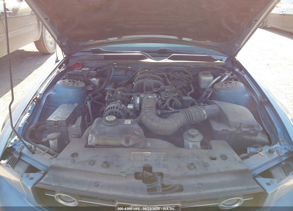 2008 FORD MUSTANG V6 DELUXE/V6 PREMIUM VIN: 1ZVHT80N685105688