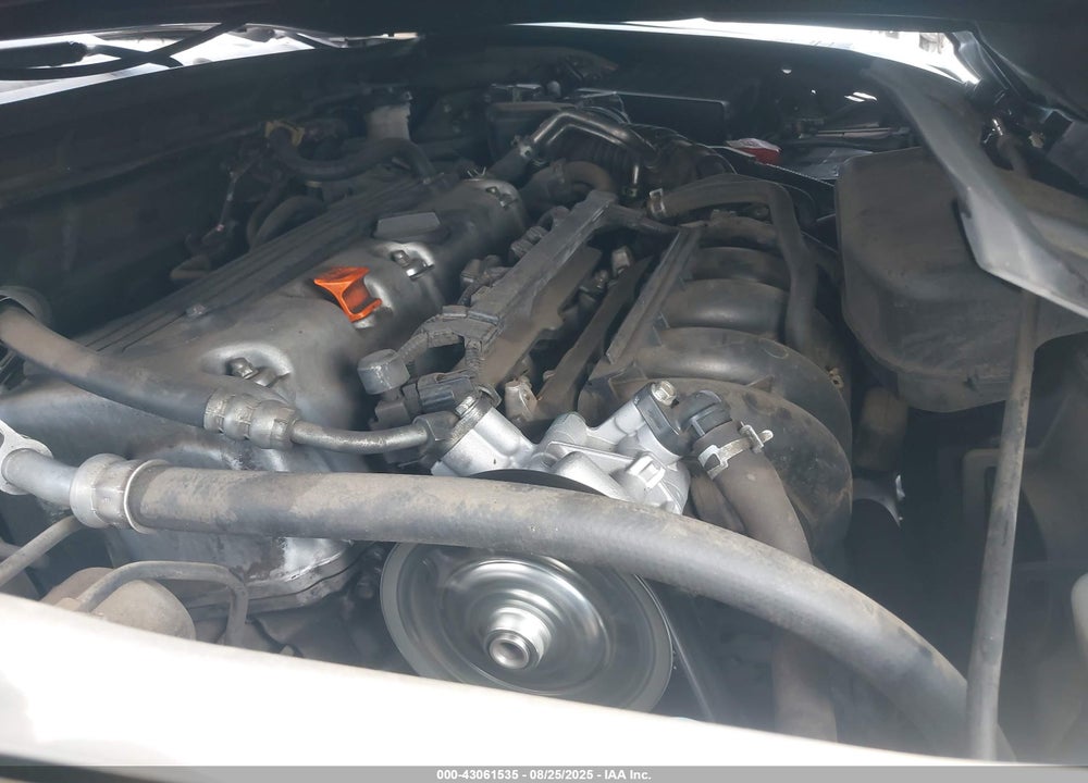 2010 HONDA ACCORD VIN: 1HGCP2F40AA018817