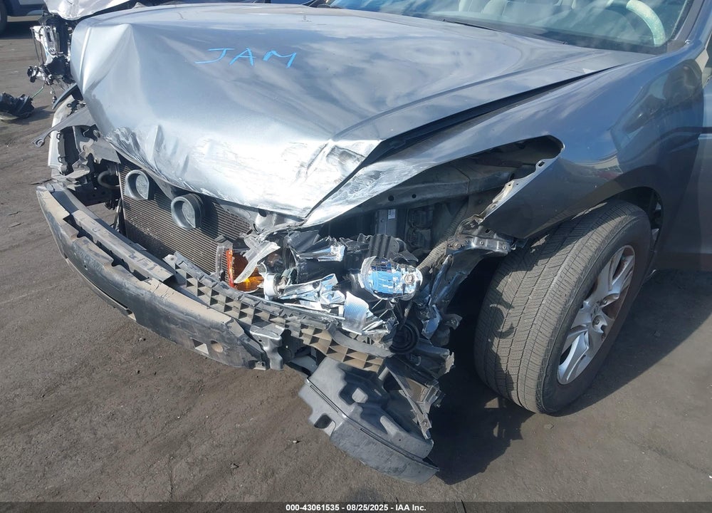 2010 HONDA ACCORD VIN: 1HGCP2F40AA018817