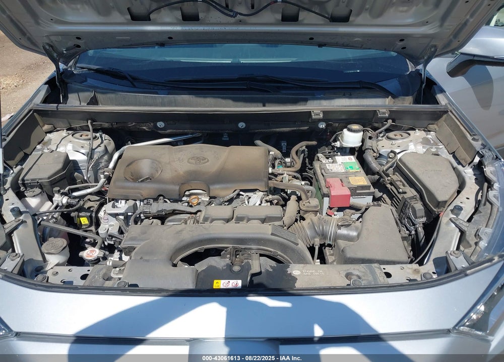 2019 TOYOTA RAV4 XLE VIN: 2T3W1RFV6KW011372