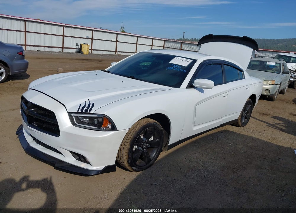 2014 DODGE CHARGER VIN: 2C3CDXBG4EH191496