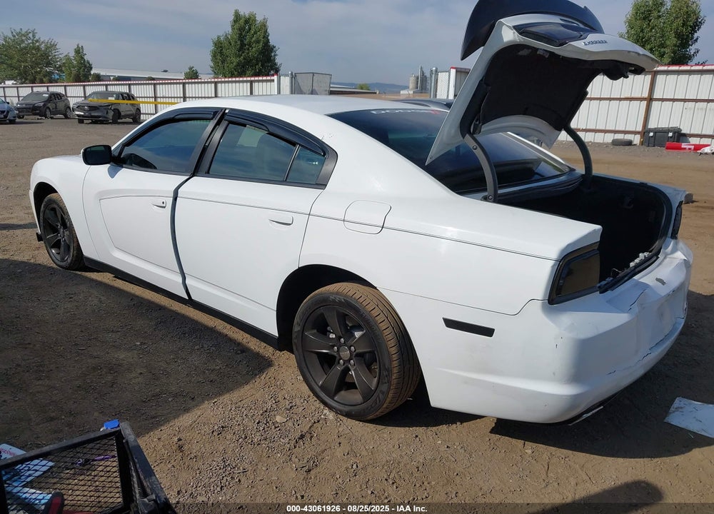 2014 DODGE CHARGER VIN: 2C3CDXBG4EH191496