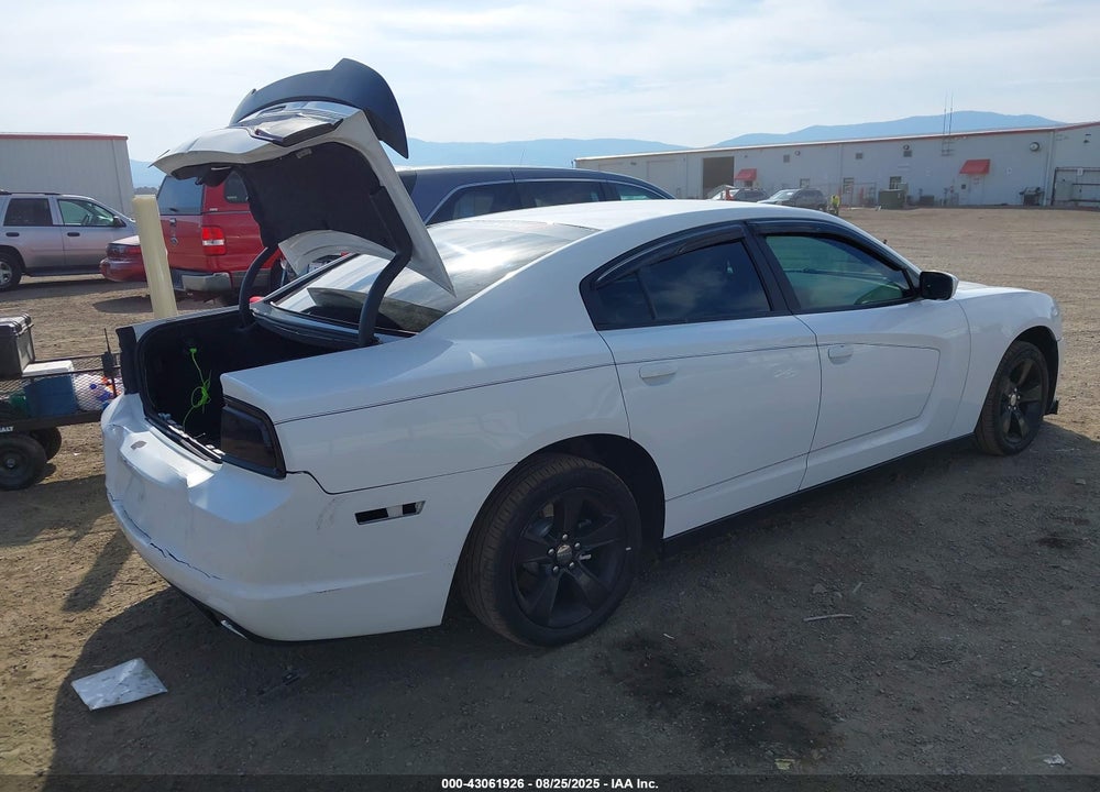 2014 DODGE CHARGER VIN: 2C3CDXBG4EH191496